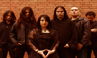  phronesis